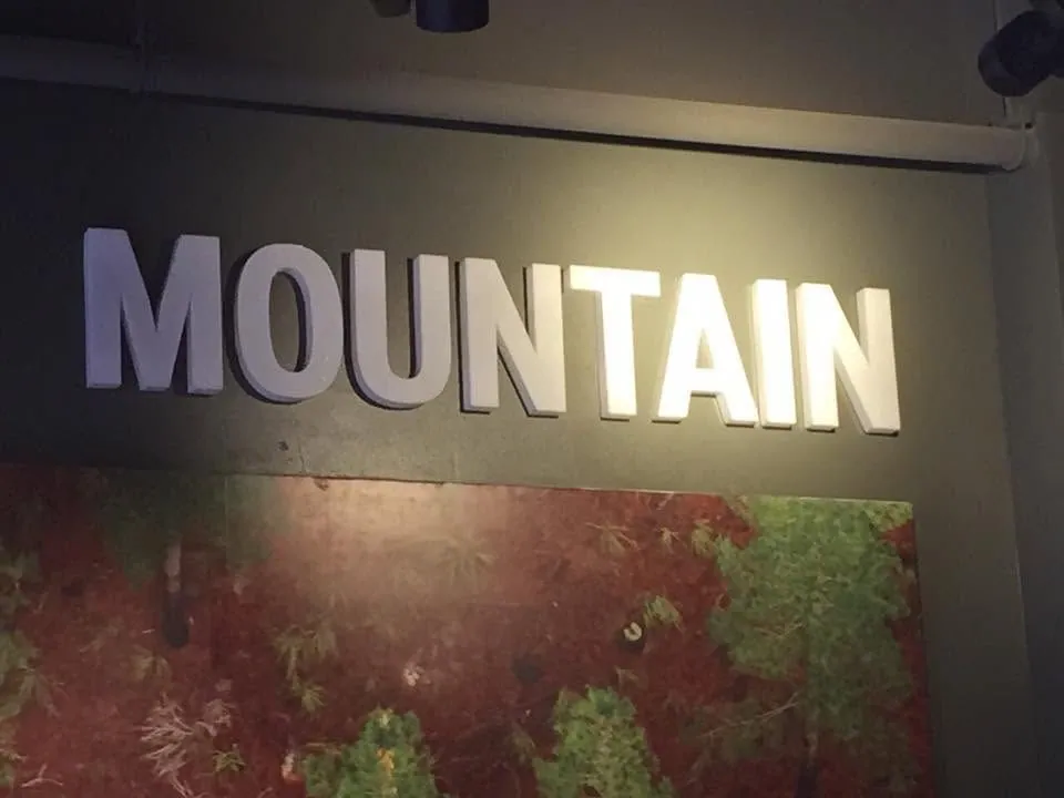 Acrylic built-up letters, printed and installed by MCAV