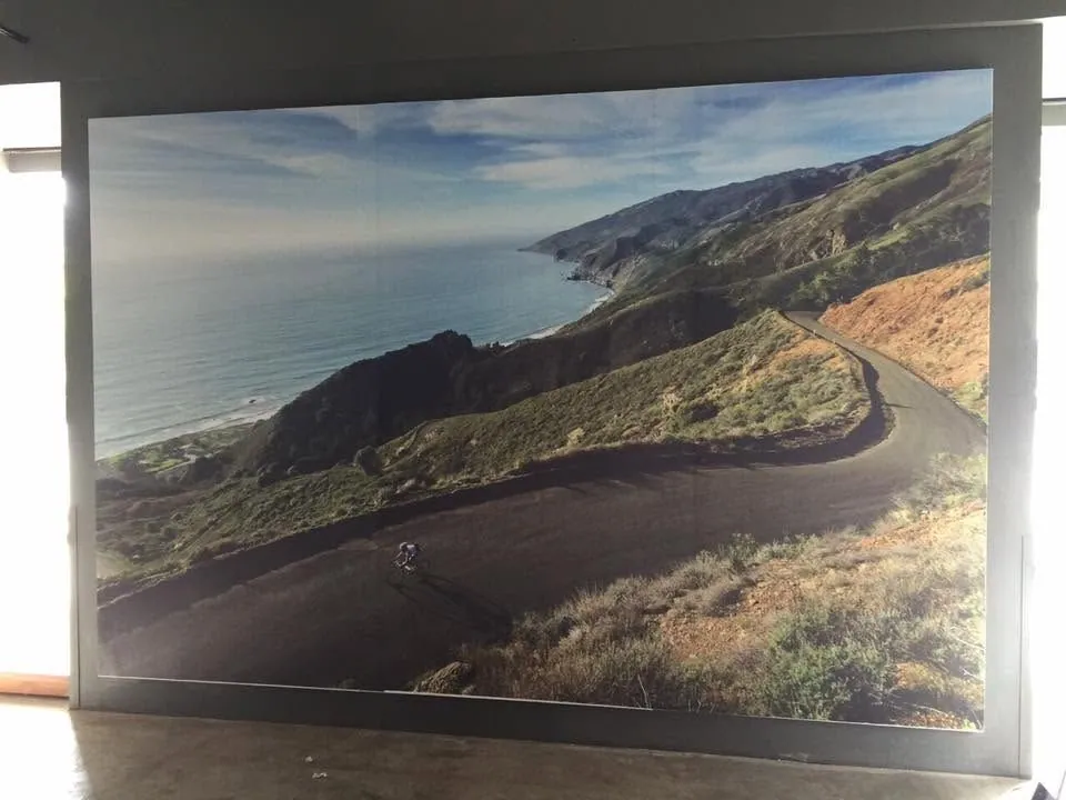 Vinyl graphics, printed and installed by MCAV