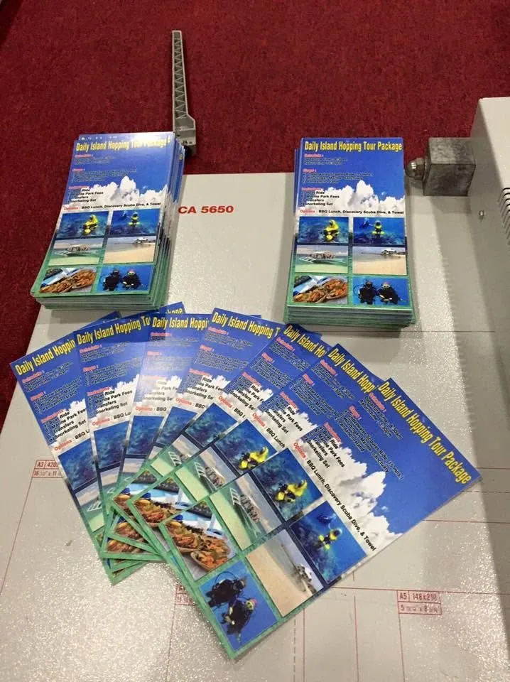 Flyers, fresh off MCAV's printer