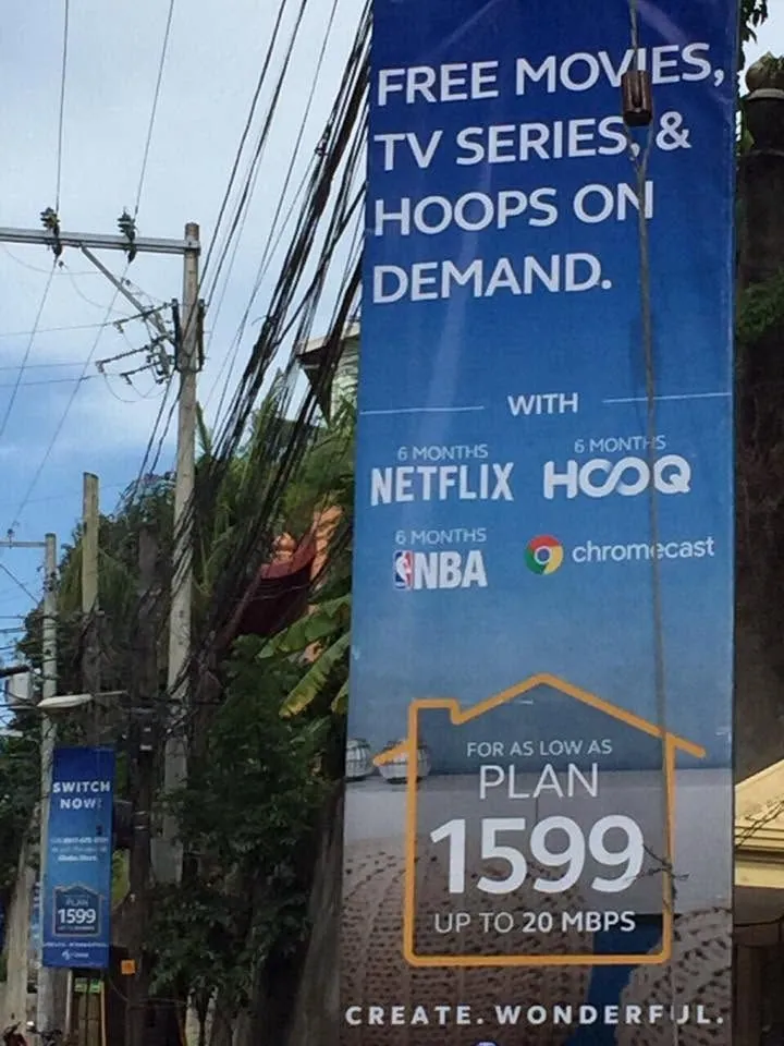 Globe tarpaulin, printed and installed by MCAV